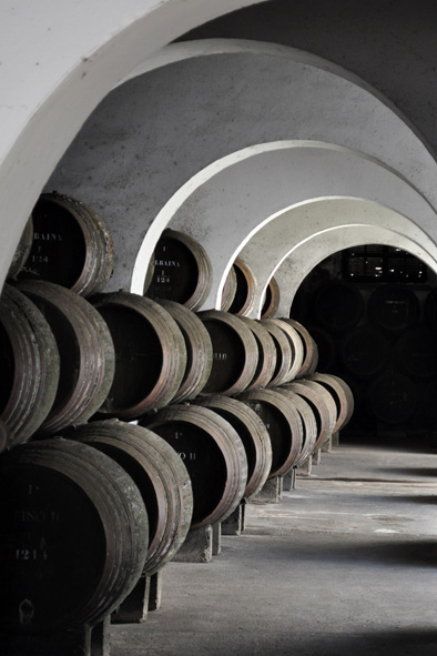 Arboledilla (c) Barbadillo Bodegas