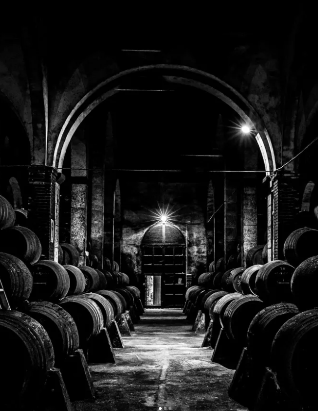 Barbadillos Bodegas (c) GDU Photography
