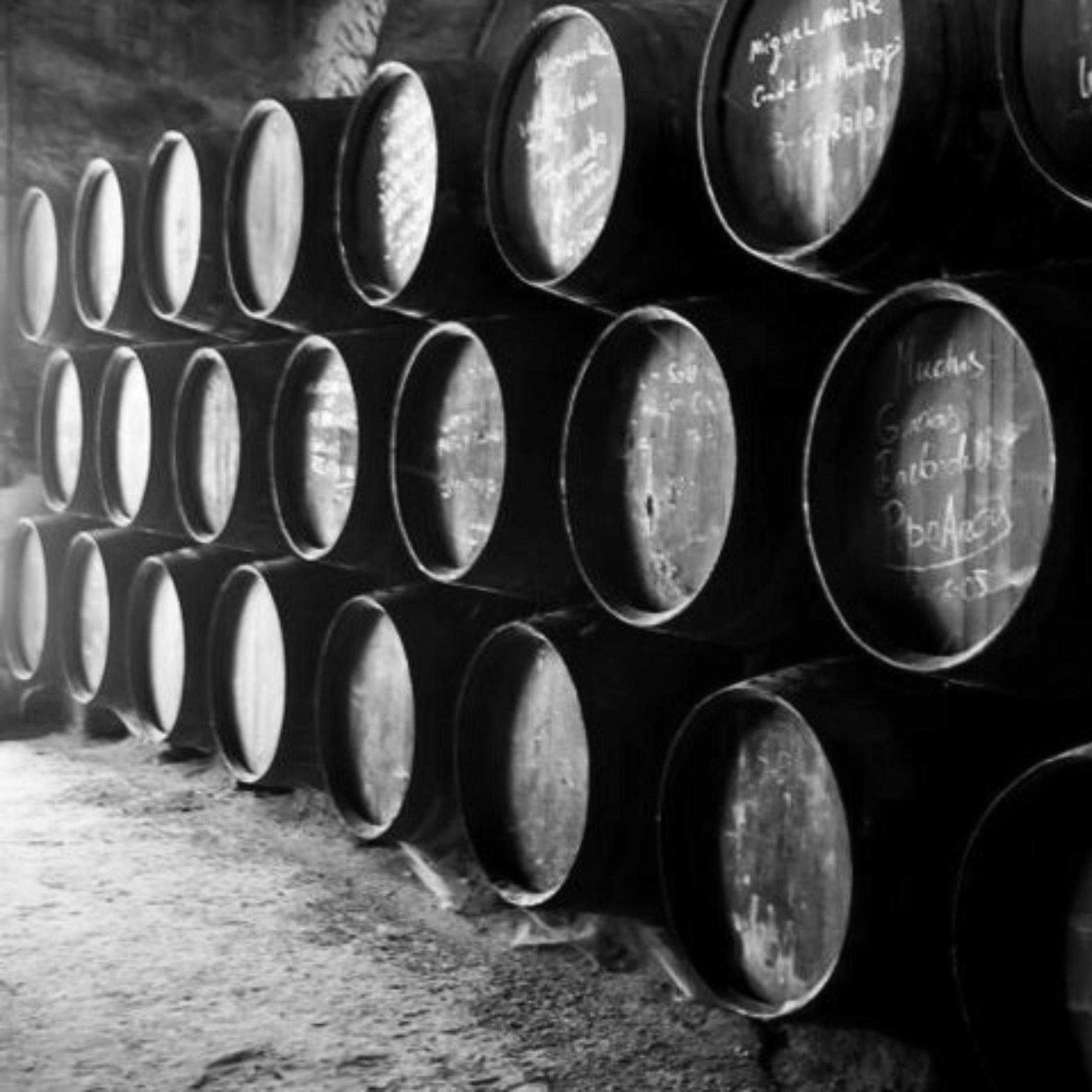 (c) Barbadillo Bodegas